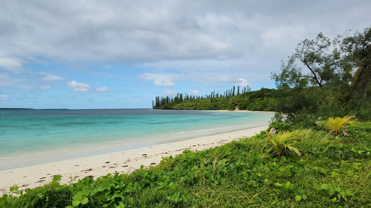 a white sandy beach surrounded by lush green vegetation