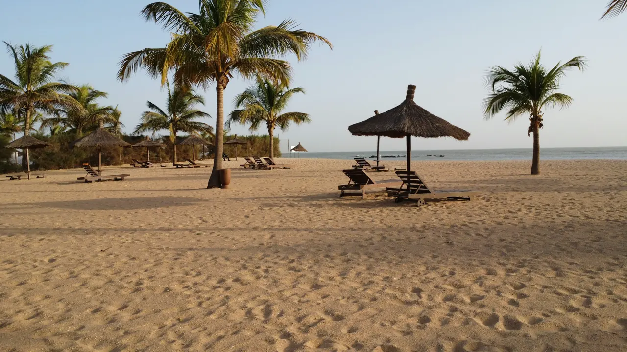 Empty beach with palm trees and thatched umbrellas