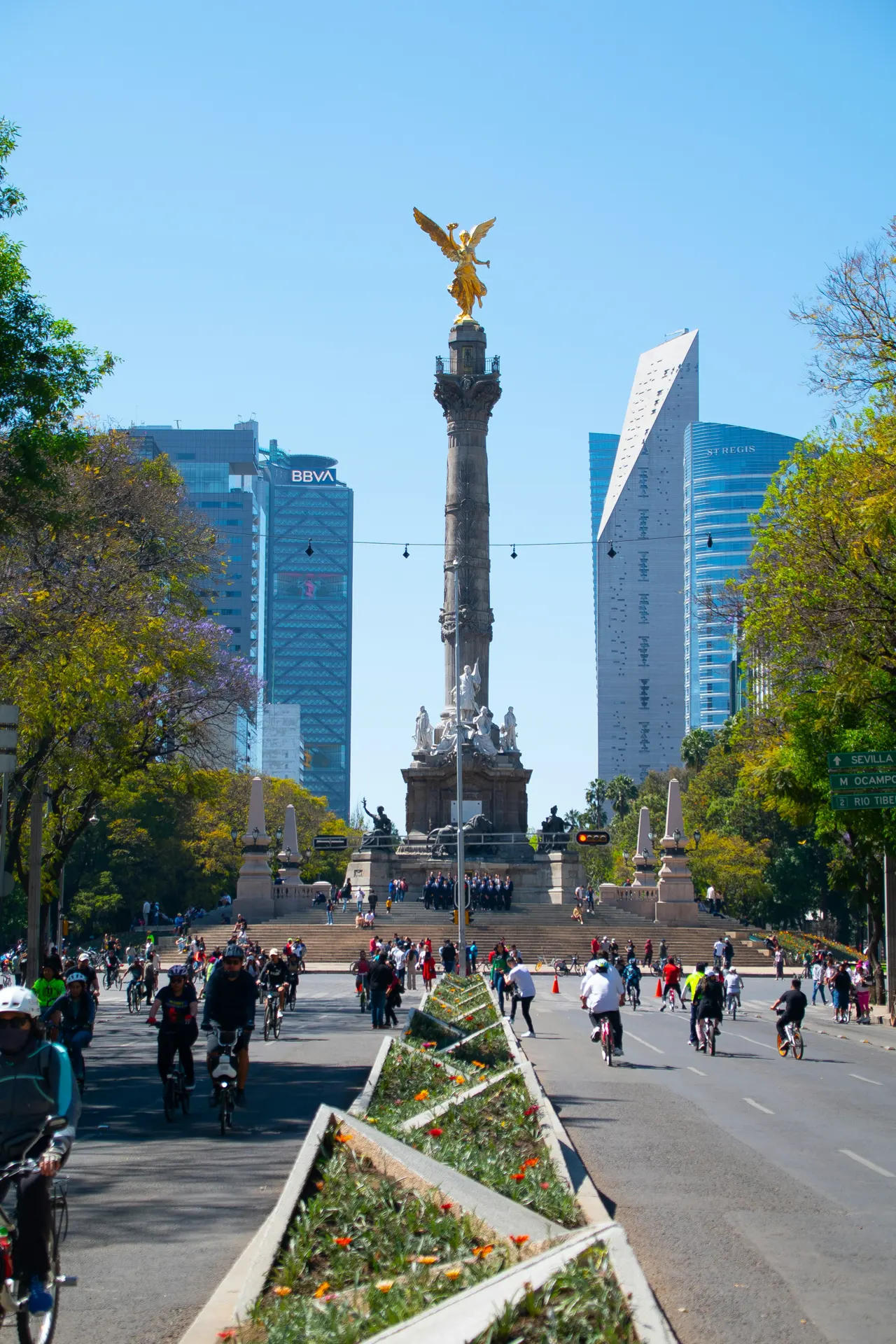 Fotografía Callejera en el Ángel de la Independencia, Avenida Paseo de la Reforma, CDMX