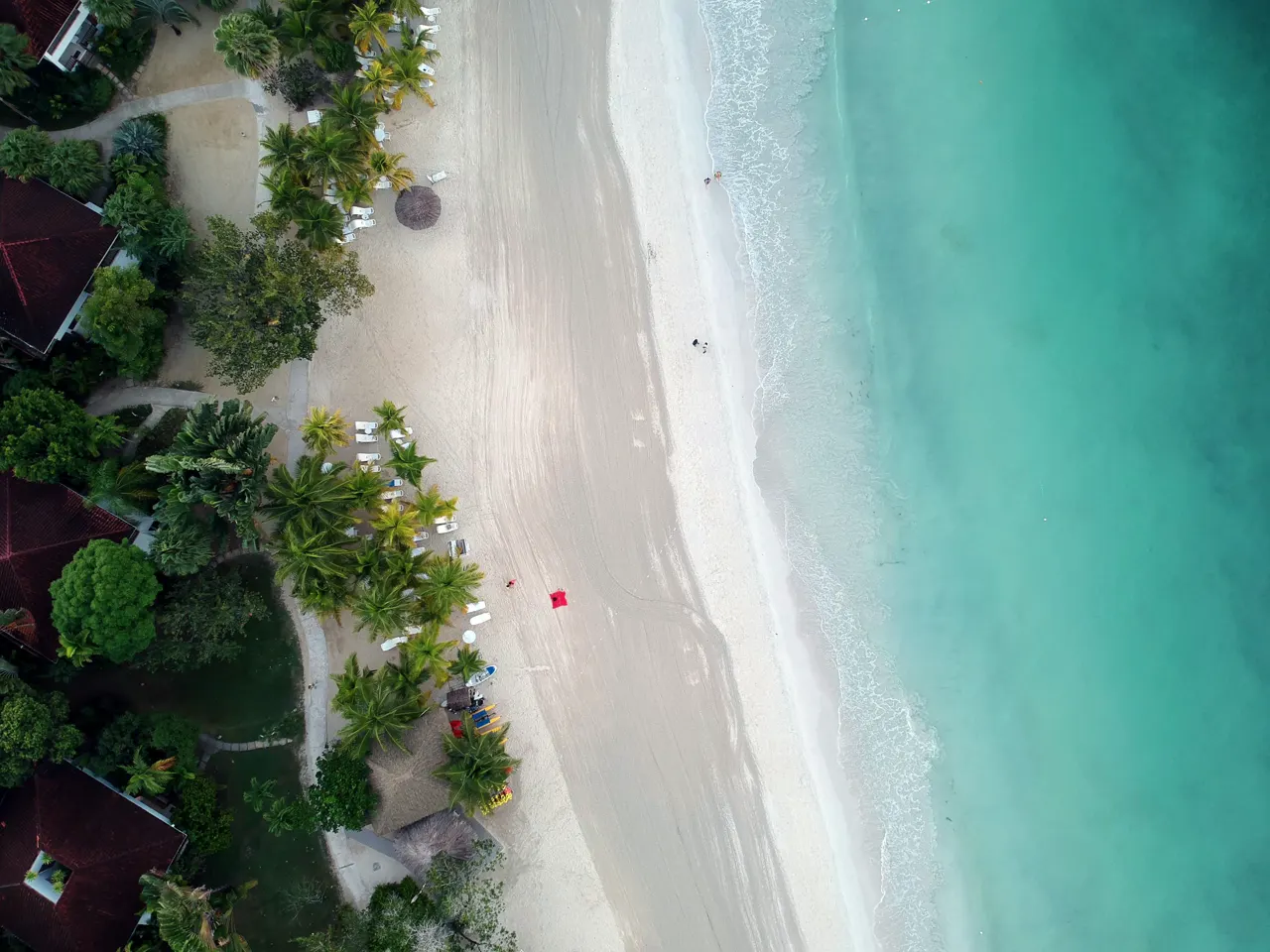 Jamaican Dream