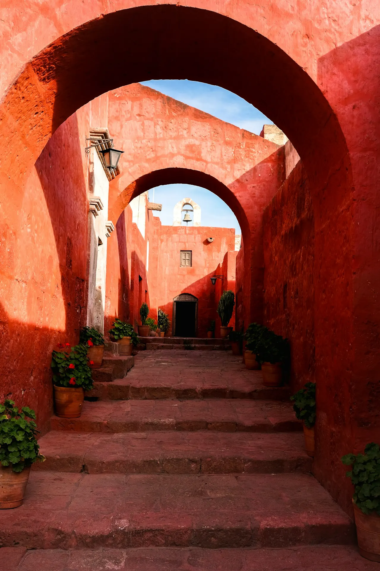 A narrow alley way with potted plants on either side