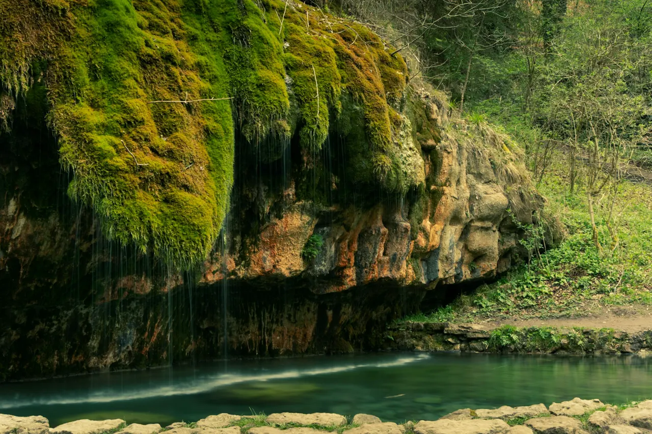 Mossy cliffside hangs over a calm, green pool