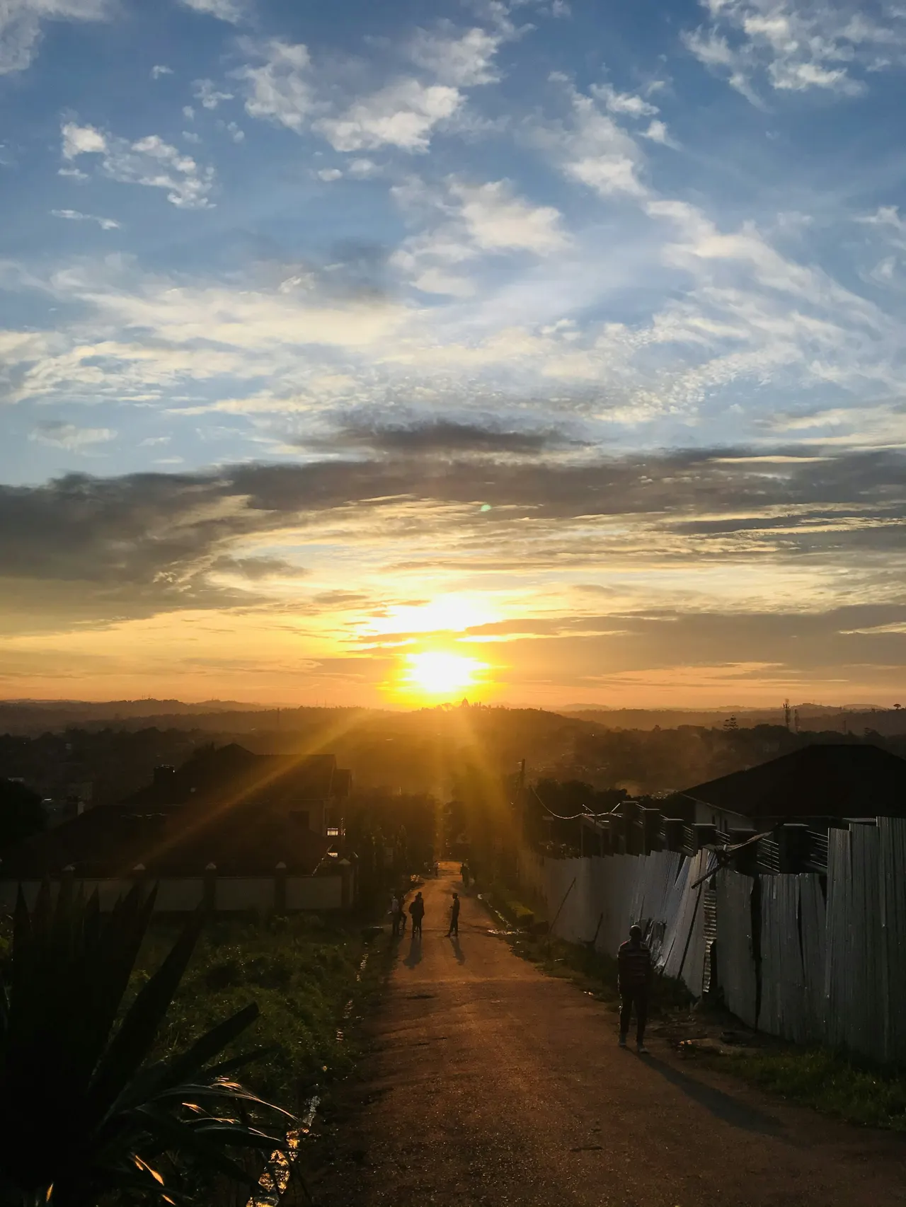 A Warm Evening 