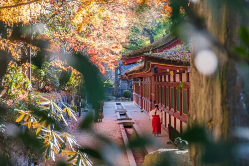 후쿠오카
