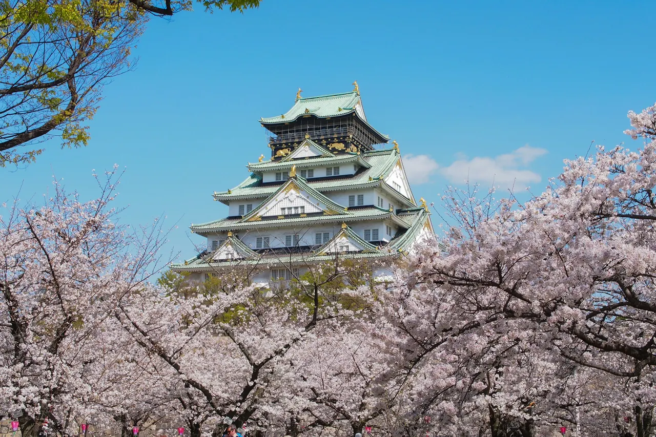 a tall building surrounded by cherry blossom trees