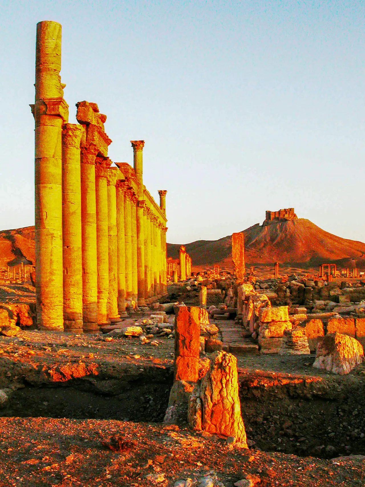 The ruins of the ancient city of palmyrate