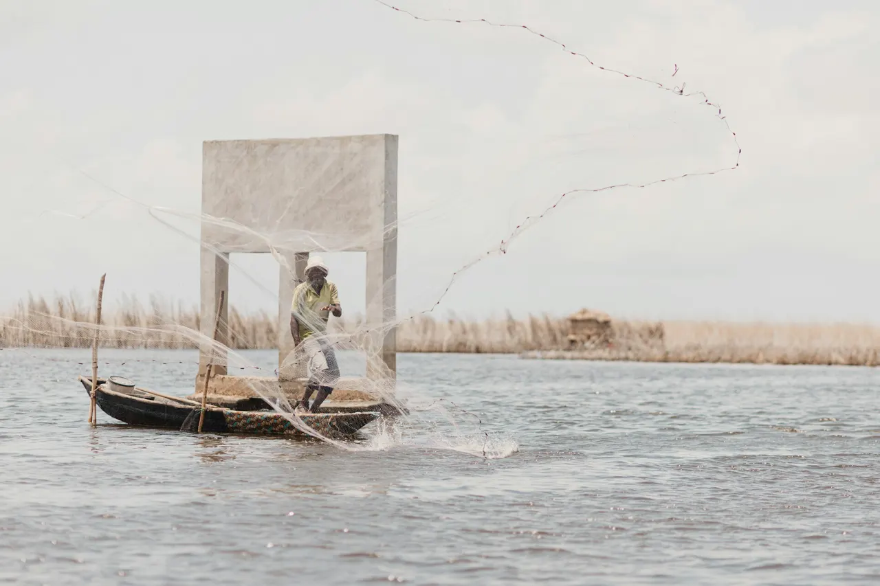 A fisherman casts his net on the water