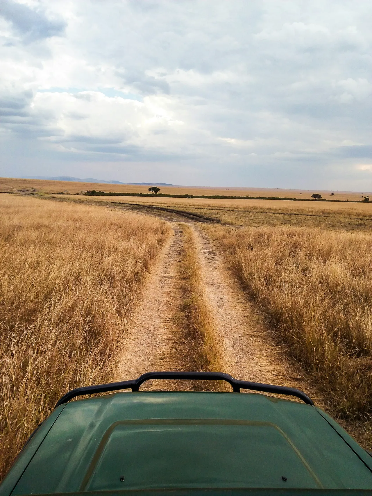 The golden grasses make this place surreal and captivating