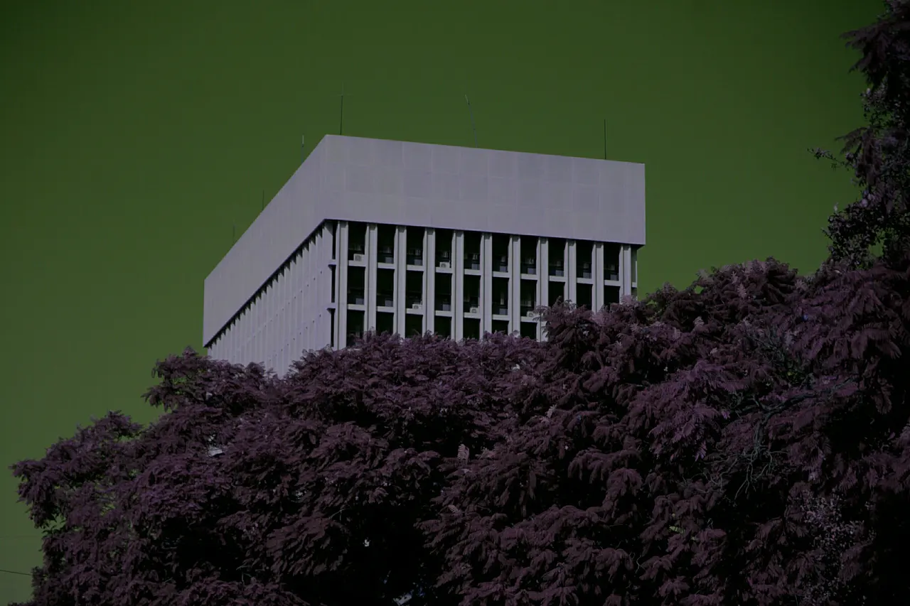 Tall distant building appearing behind trees