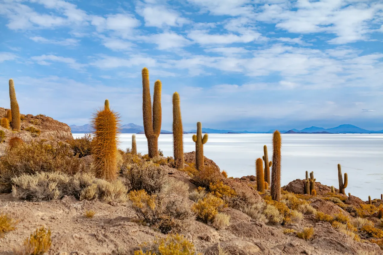 Uyuni Salt flats in Bolivia