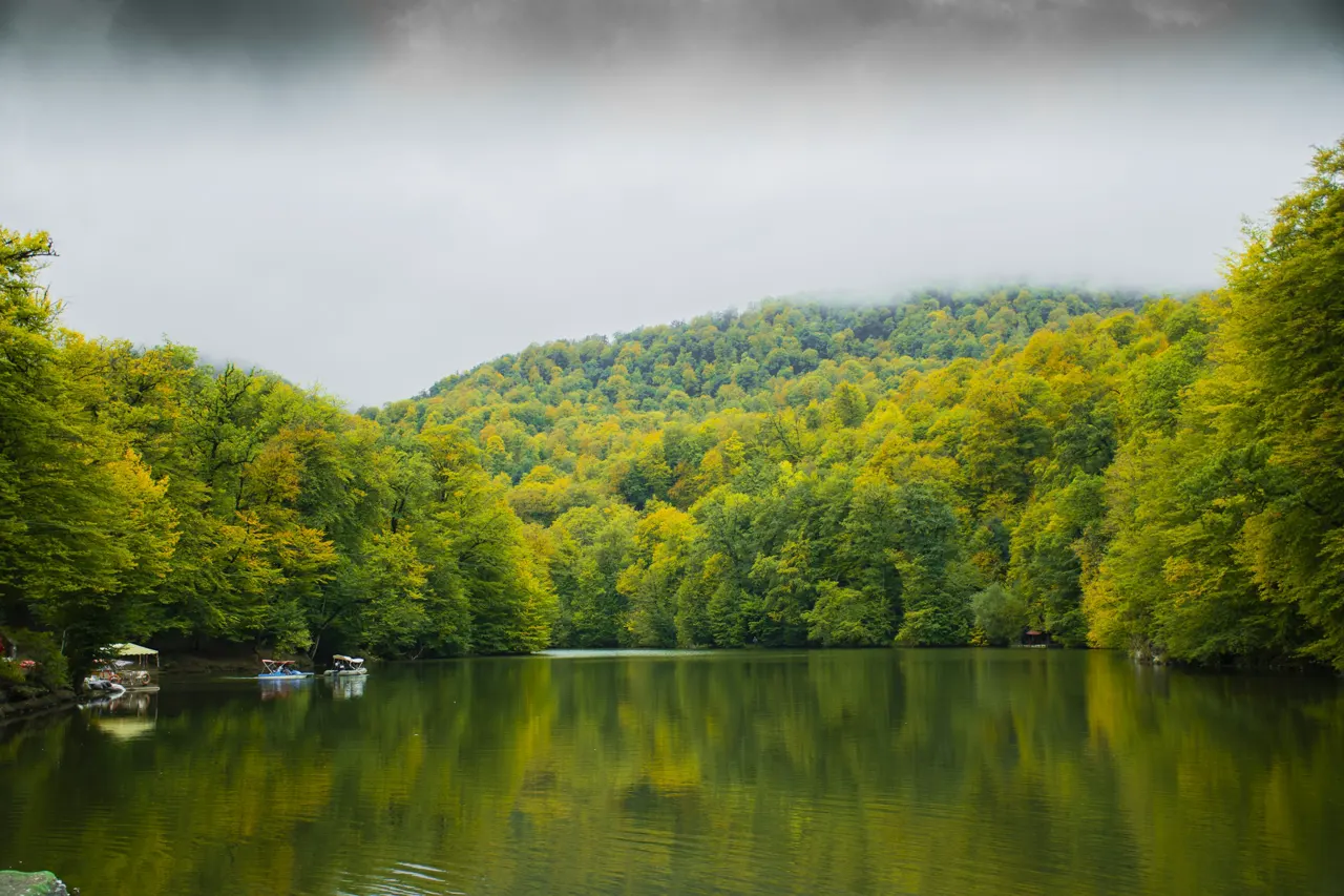 a body of water surrounded by green trees