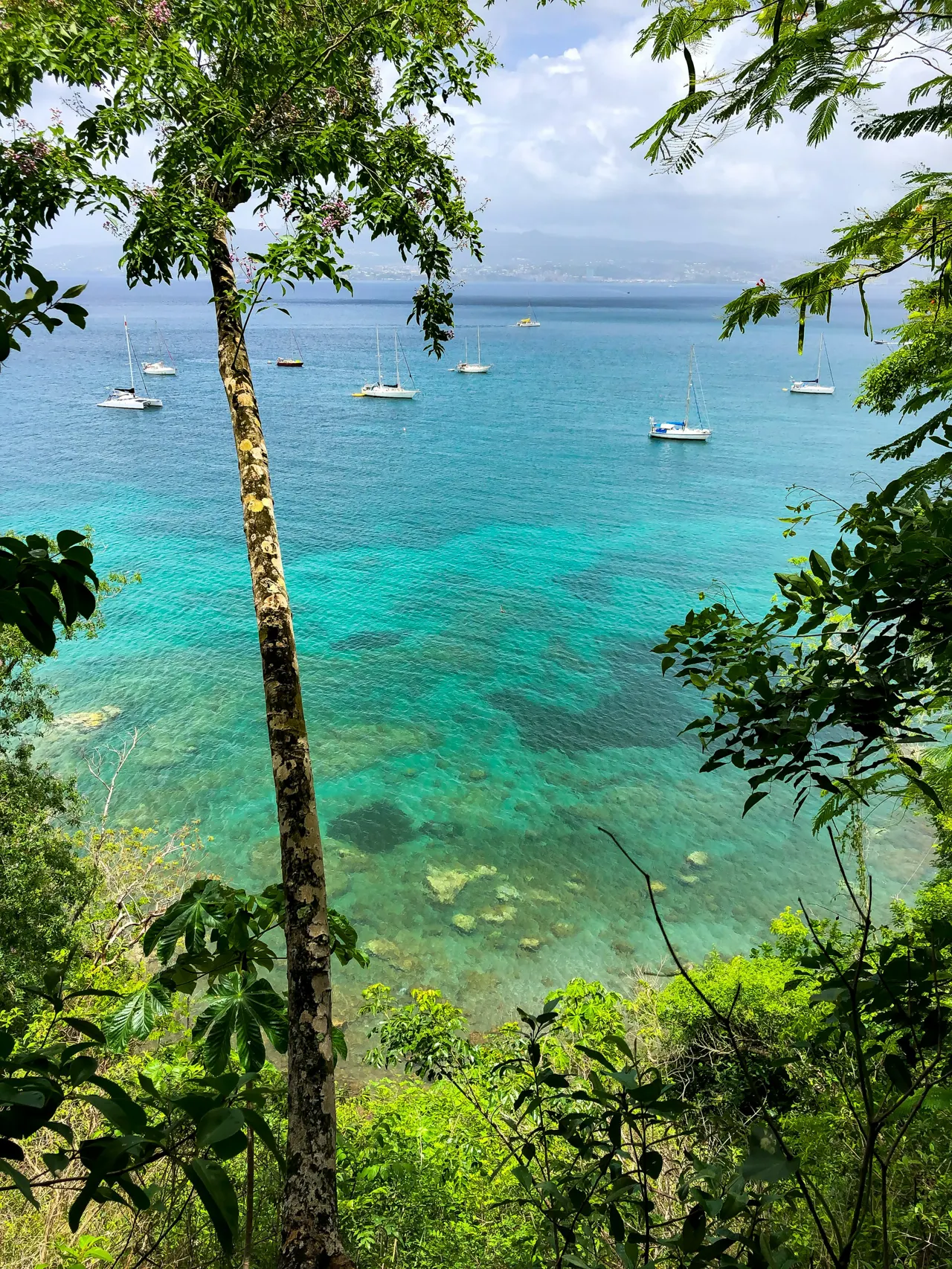 Anse Mathurin 