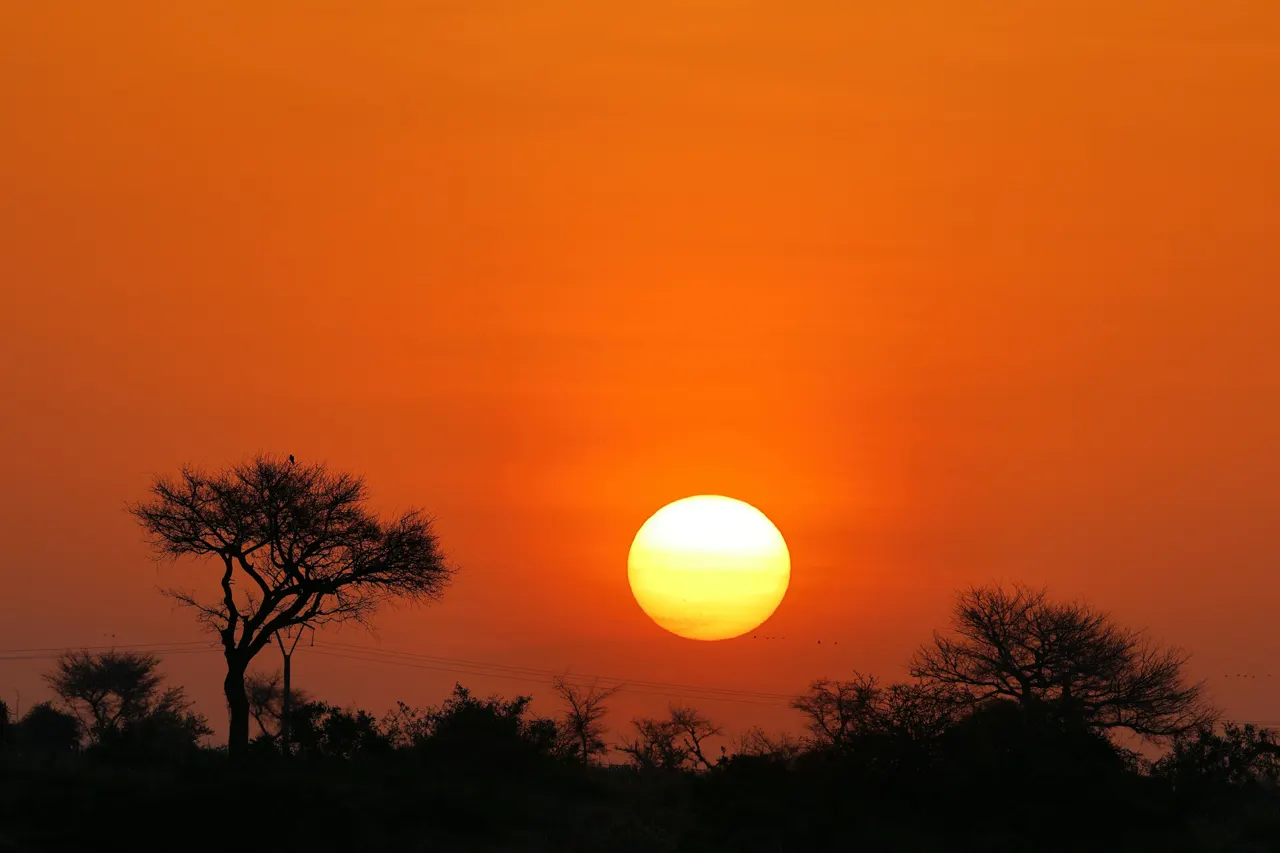 Sunrise