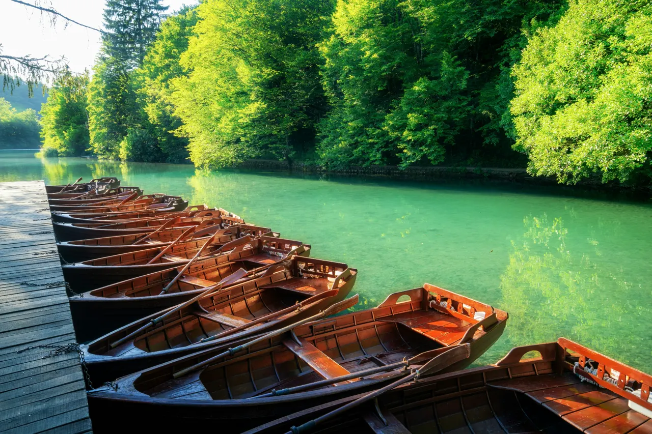 A row of wooden rowboats moored at a wooden dock on a green lake