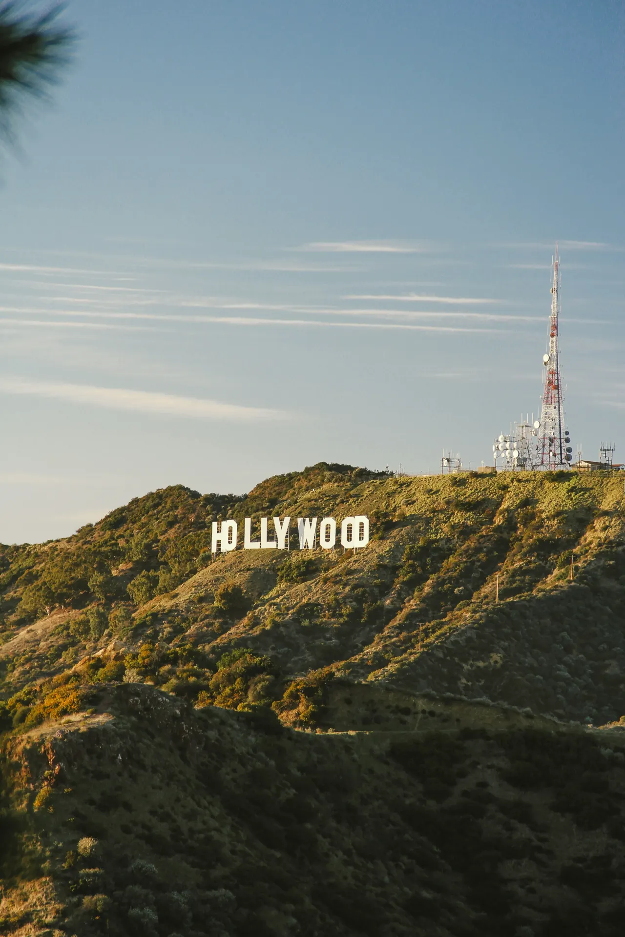 The Hollywood sign on a grassy hillside in Los Angeles under a clear sky