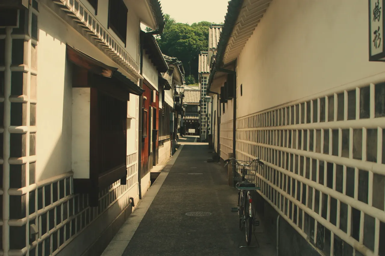 A traditional Japanese back street