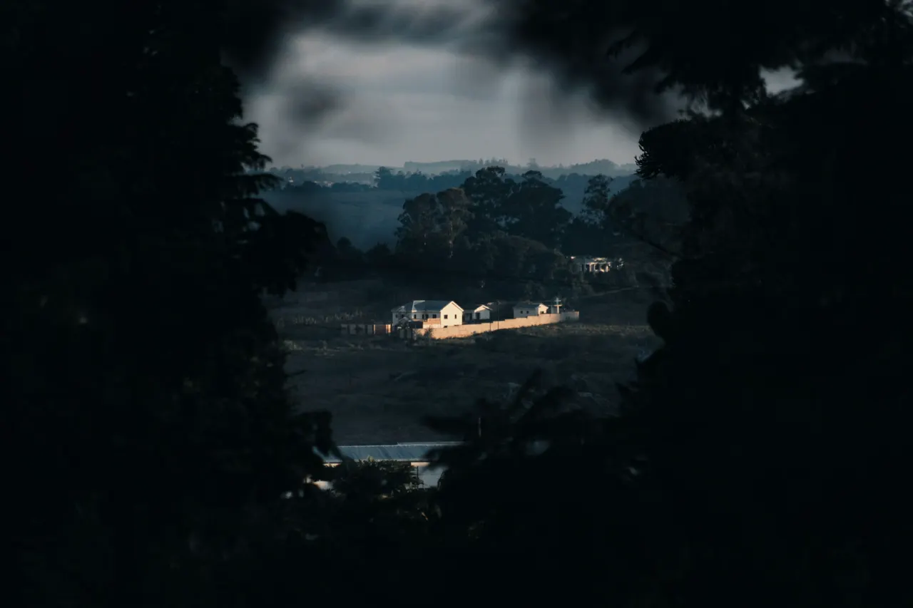 A distant landscape framed by dark foliage