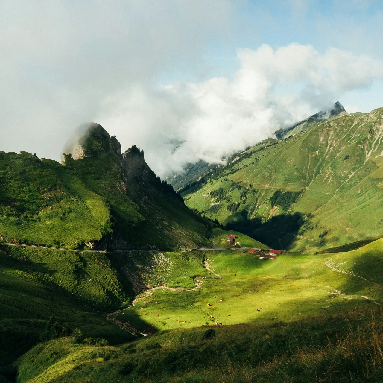 a lush green hillside covered in lush green grass