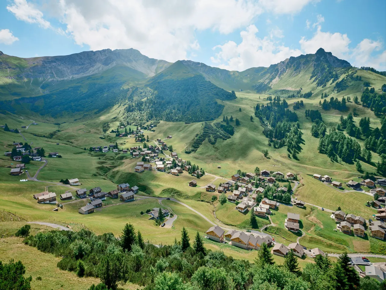 a landscape with houses and trees