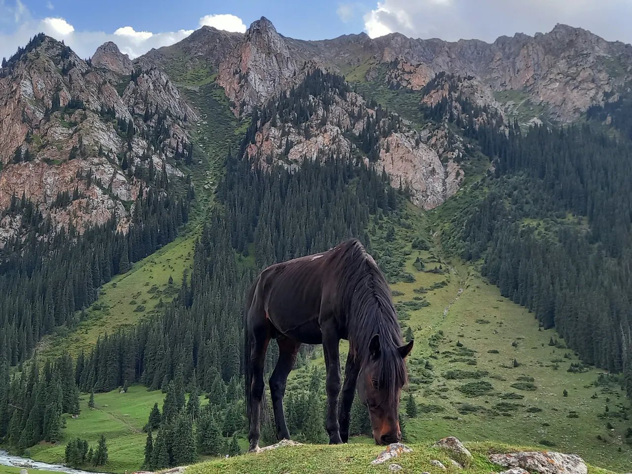 A horse grazes in front of majestic mountains