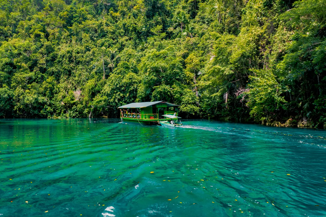 Loboc River in the island of Bohol, Philippines is popular for the river cruise where there's a buffet and live entertainment onboard as the boat takes you for a tour of the breathtaking green waters of the river