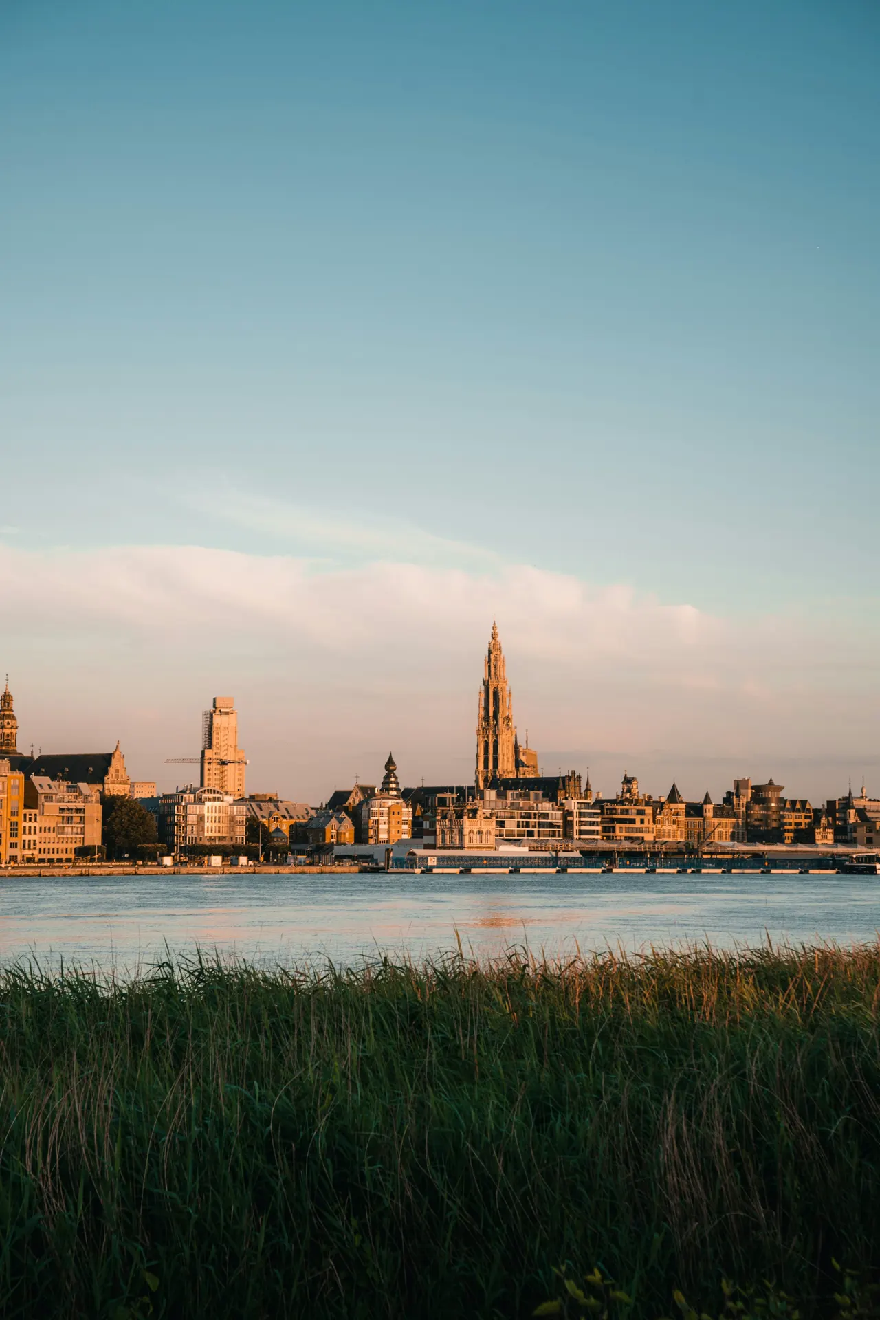 A view of a city from across the water