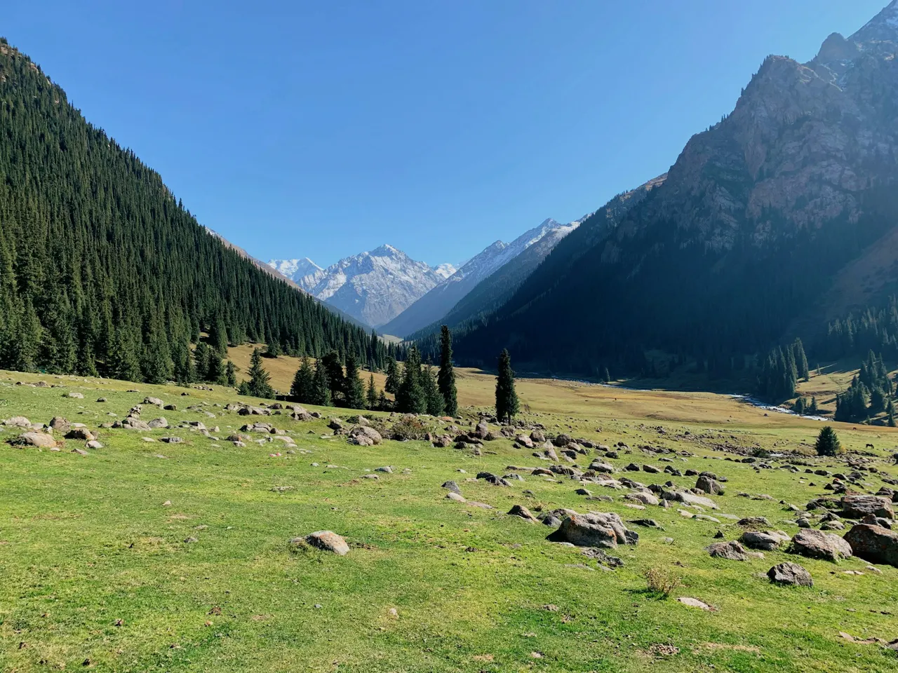green grass field with green trees and mountains in distance