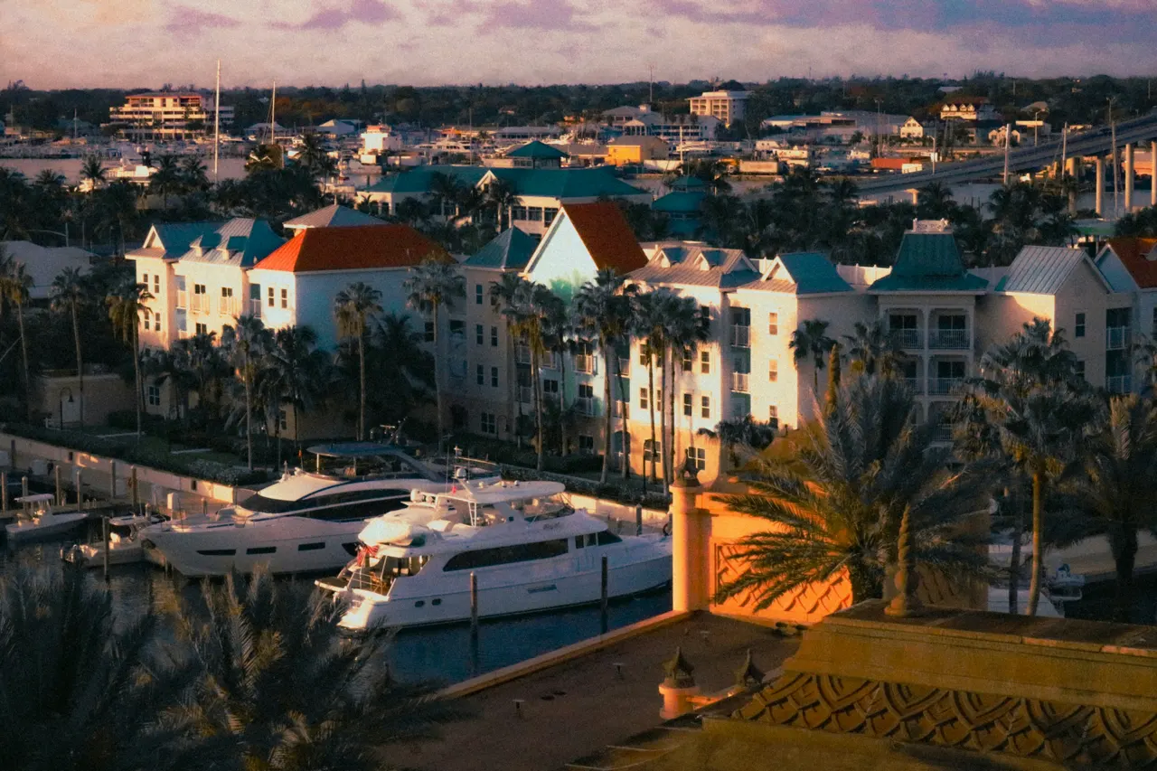 a view of a marina with boats and palm trees
