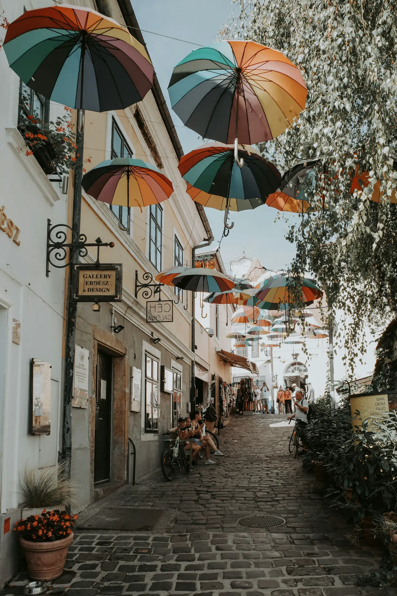Several umbrellas hanging from the side of a building