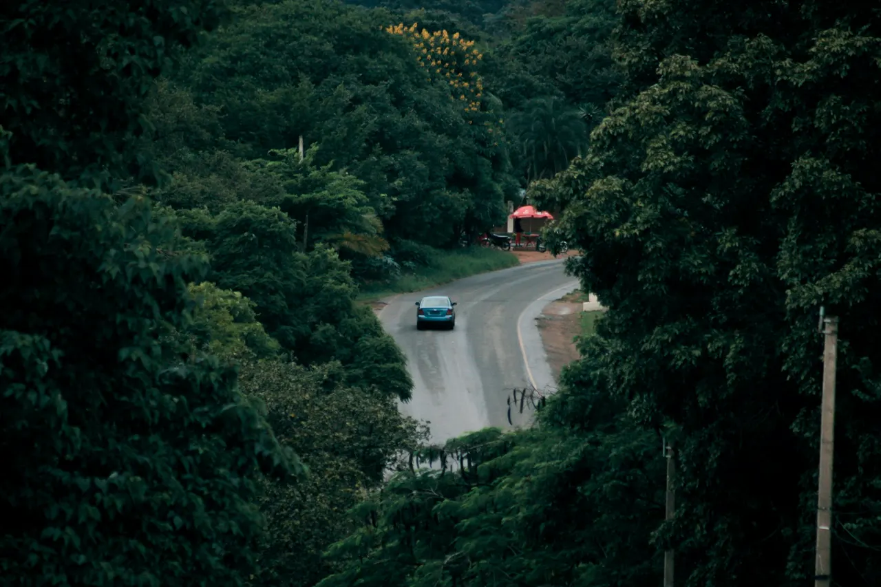 A car drives down a winding road through lush trees