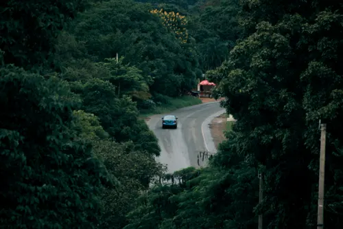 릴롱궤