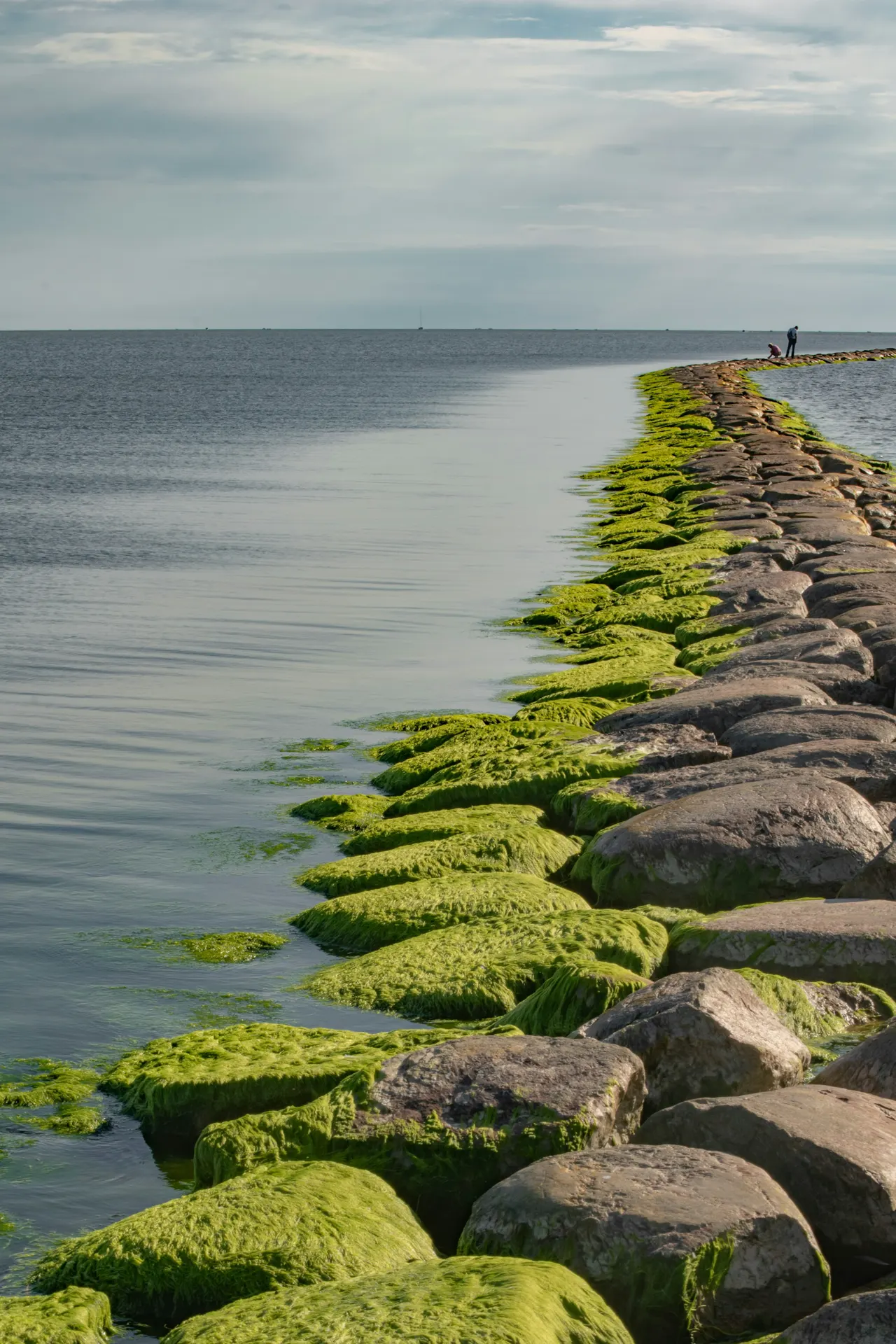 Pier in Pärnu beach
