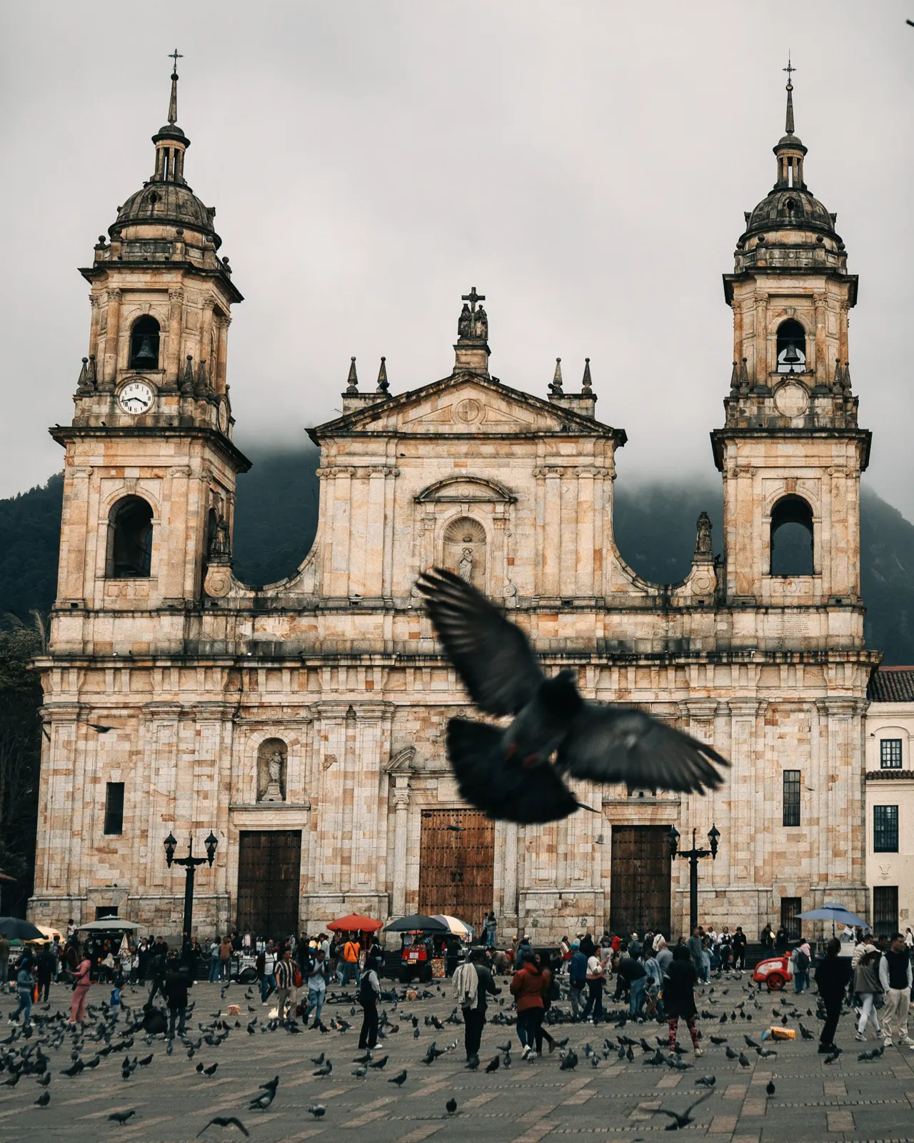 A large church with a bird flying in front of it