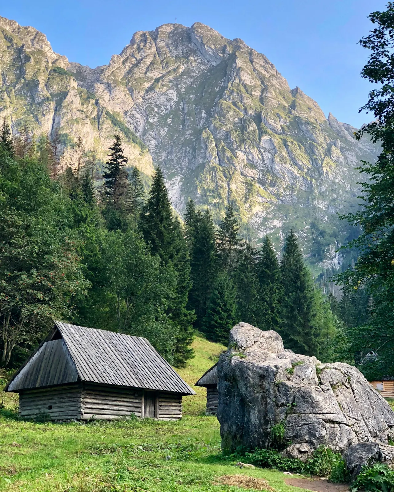 brown wooden house near green trees and mountain during daytime