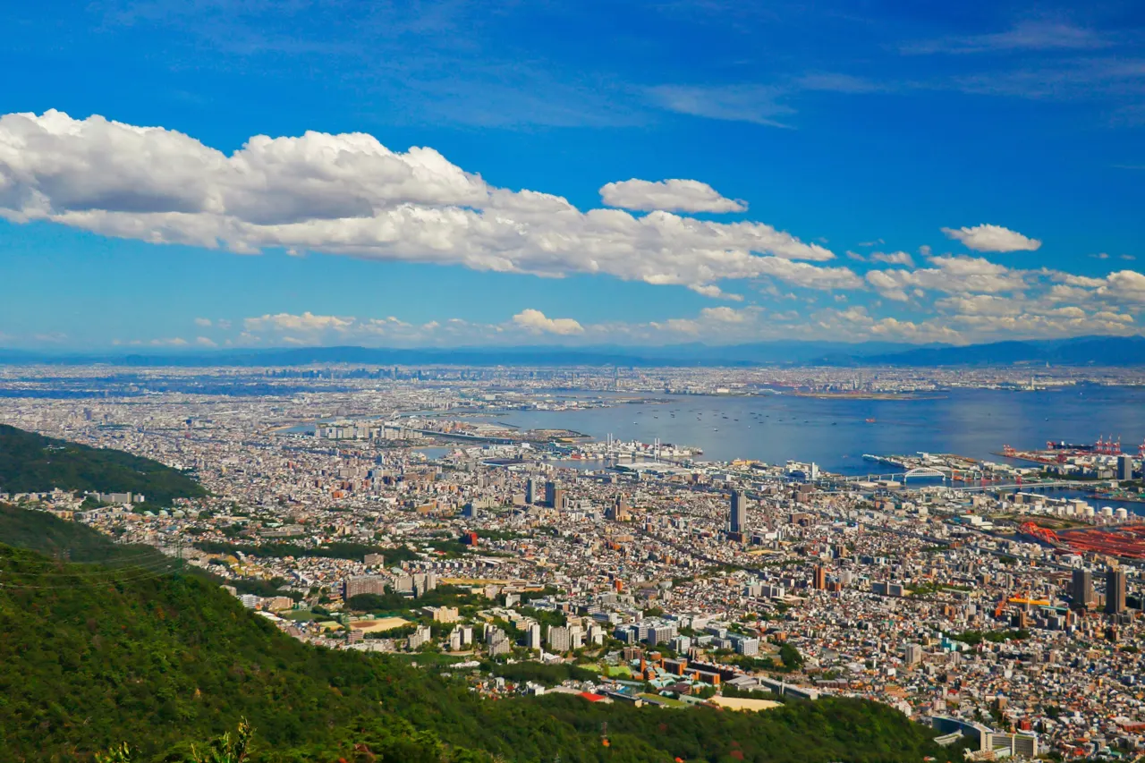 aerial view of city at daytime
