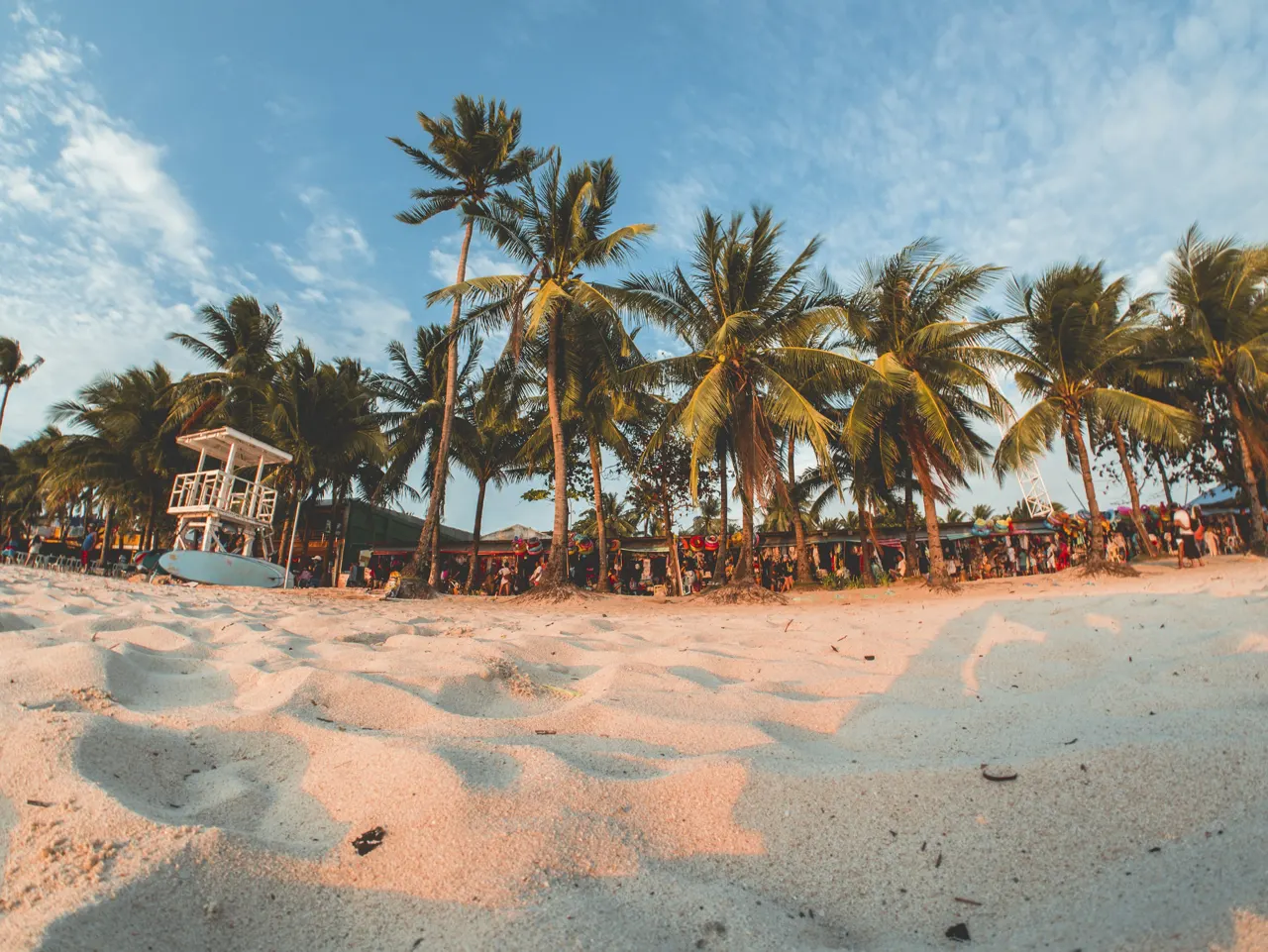 green coconut trees under by cirrus clouds