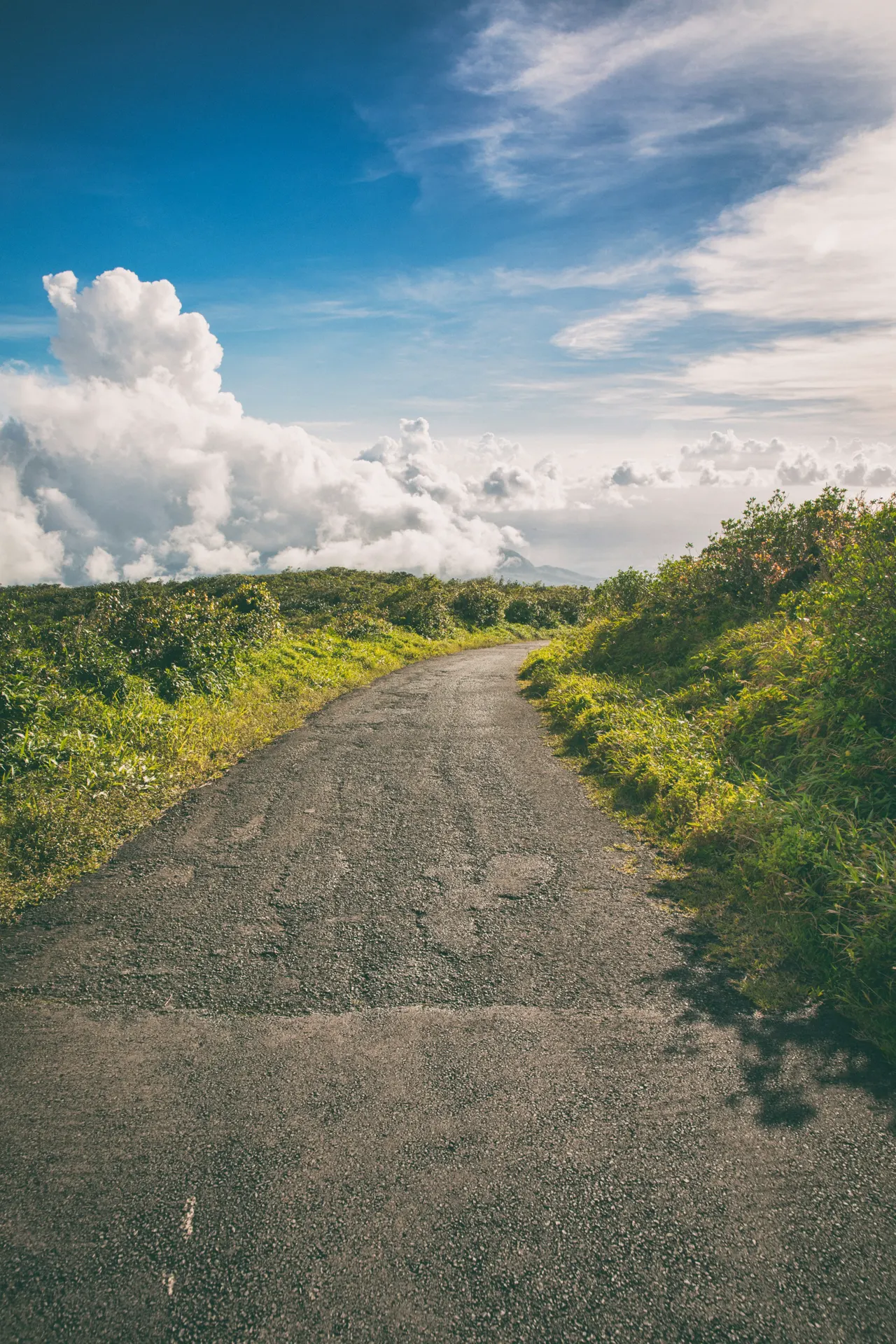 View from a road leading down from La Grande Soufrière on Basse-Terre/Guadeloupe