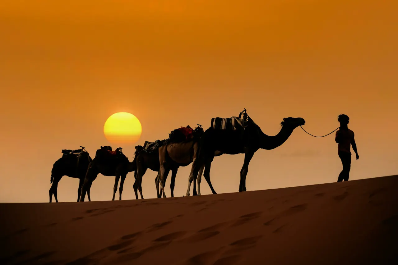 Sunset in Sahara