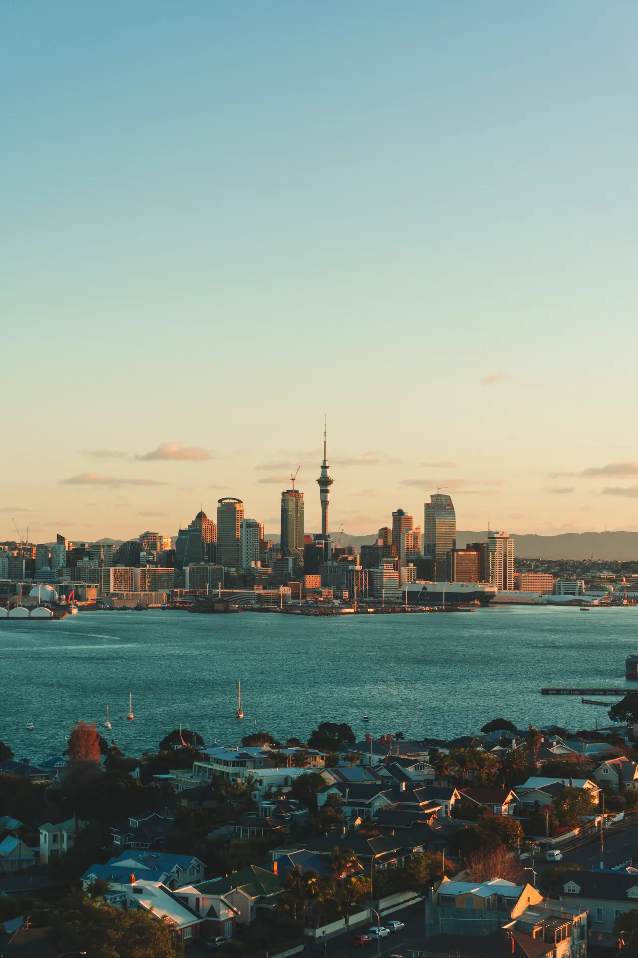 Auckland on sunset (portrait)