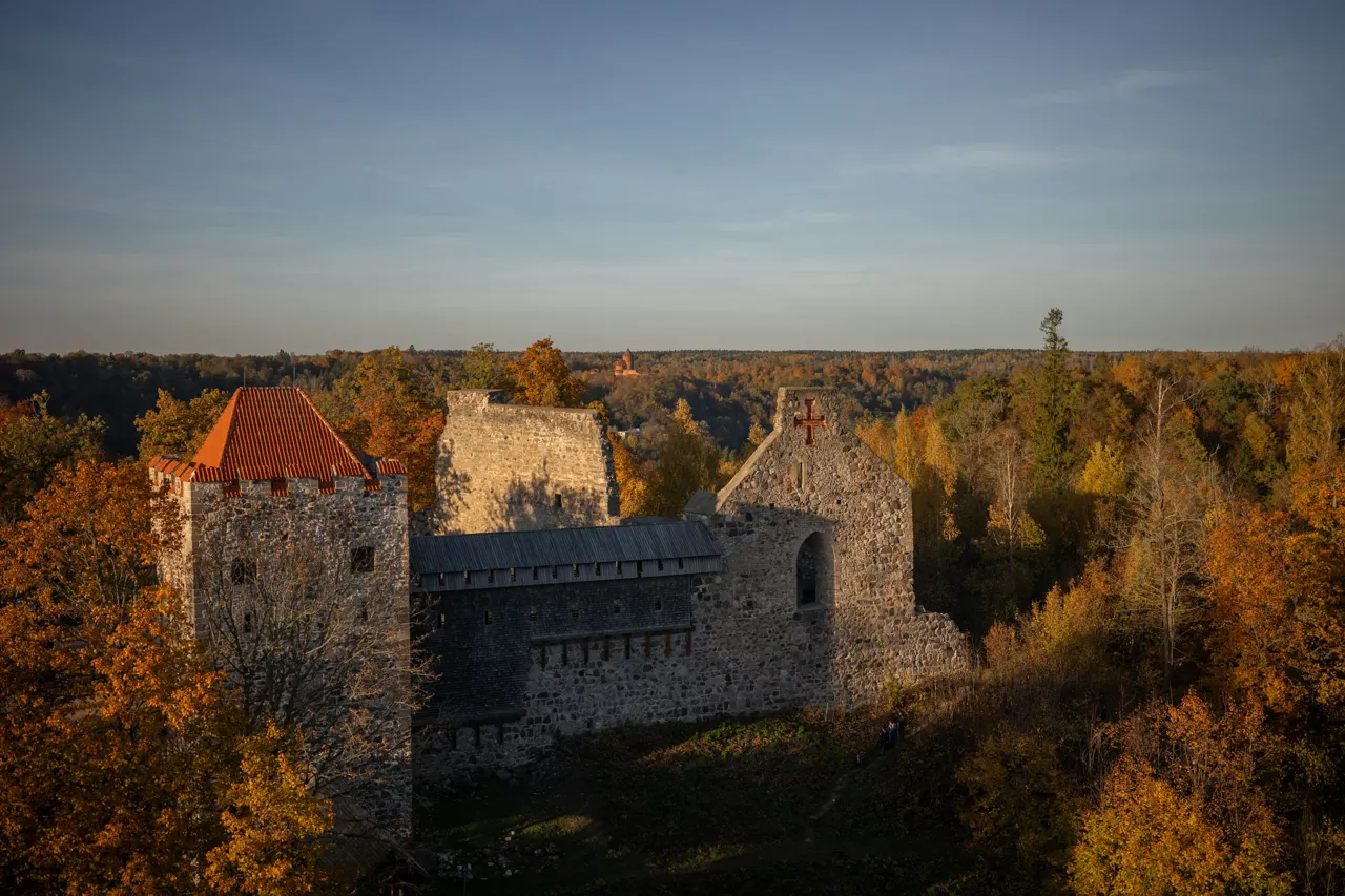 An aerial view of a castle surrounded by trees