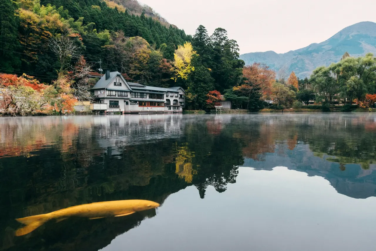 Lake Kinrinko a small lake that the famous tourist attraction in Yufuin,Oita,Japan