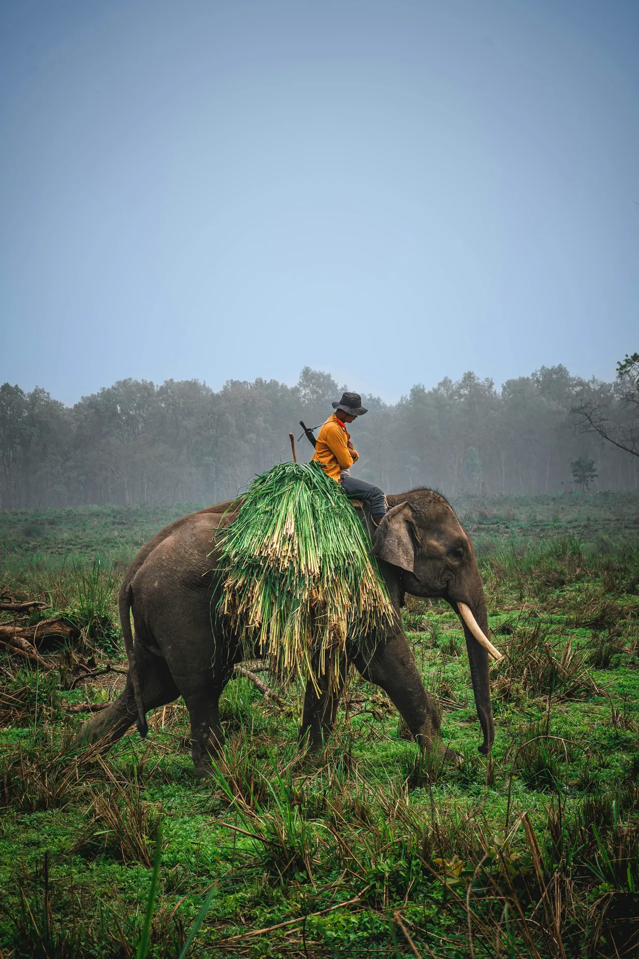 a man riding on the back of an elephant
