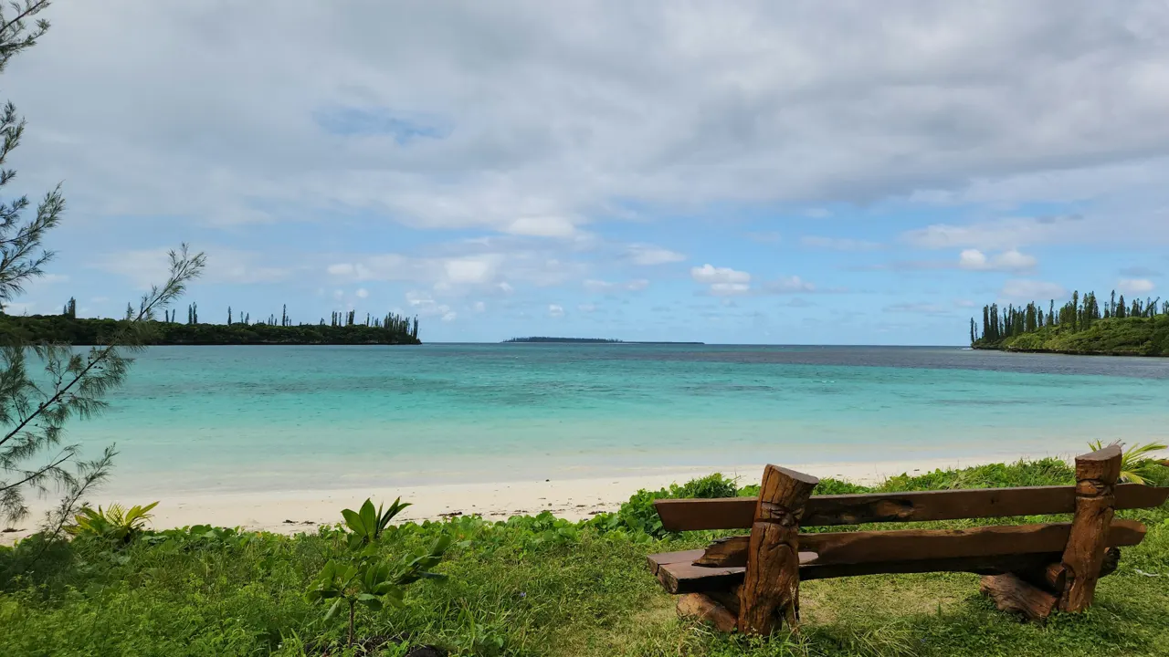 a wooden bench sitting on top of a lush green field