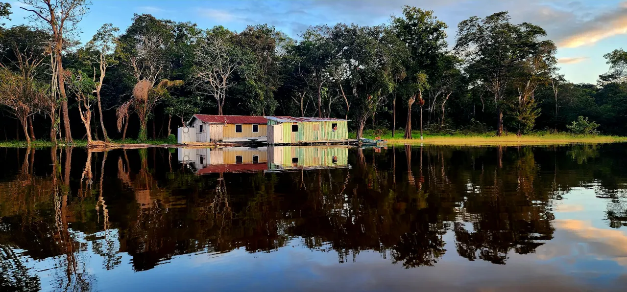 a house sitting on top of a lake next to a forest