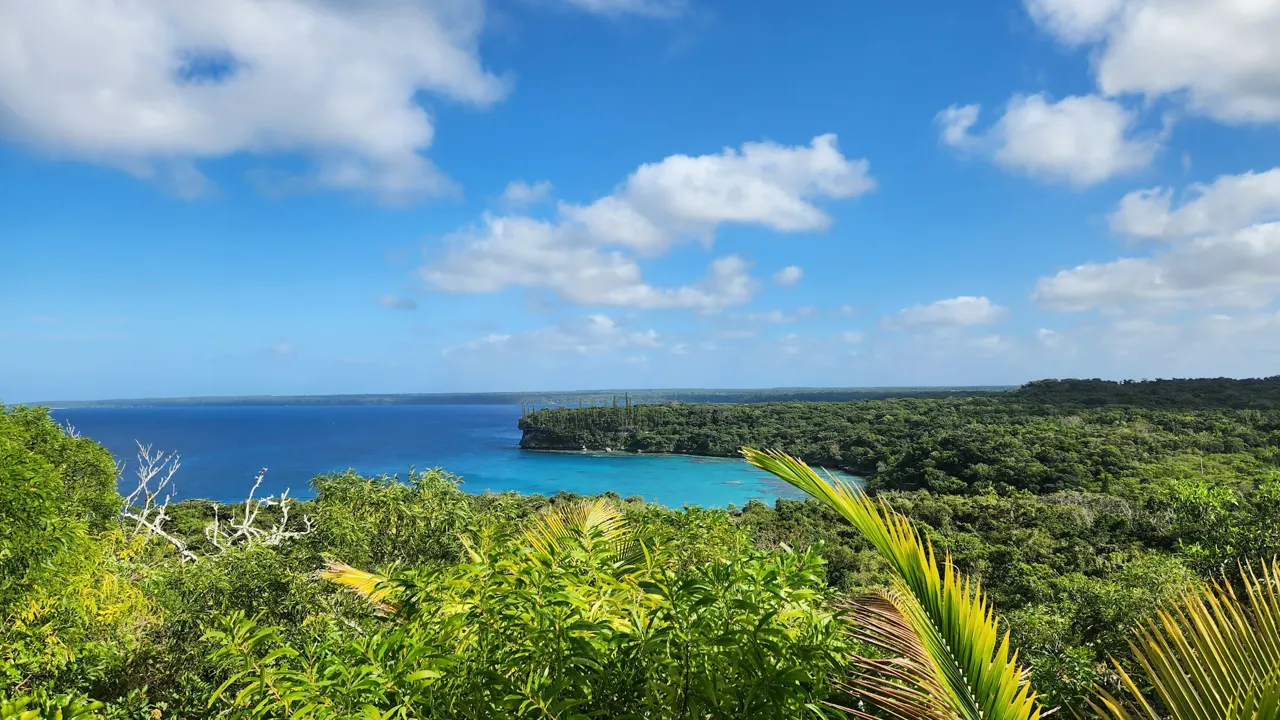 Popular snorkelling reef in Lifou