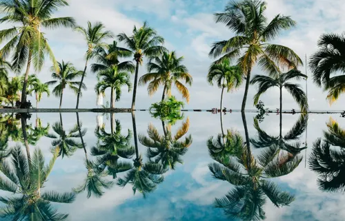 플릭앙플락
