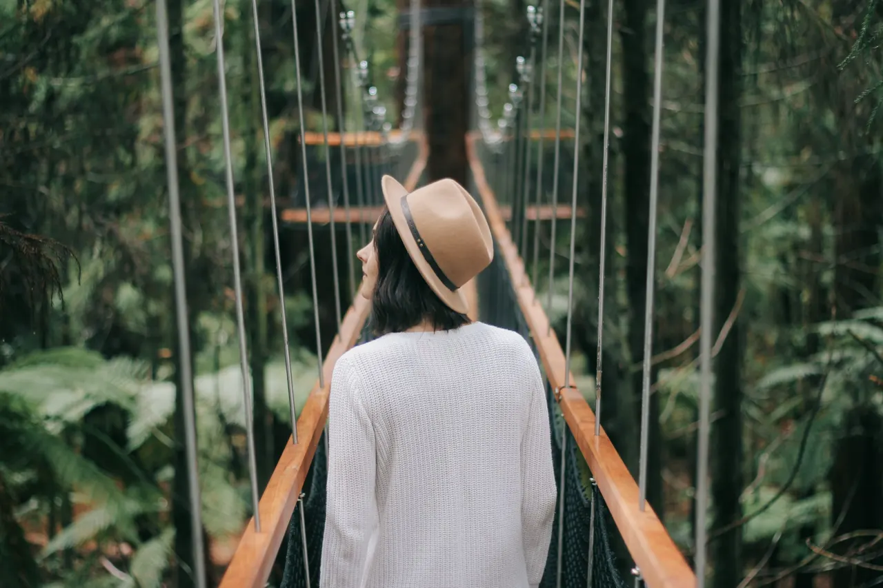 The Bridge Between