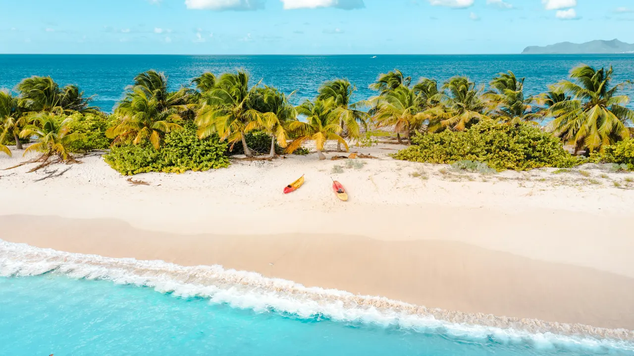 two kayaks on a beach with palm trees